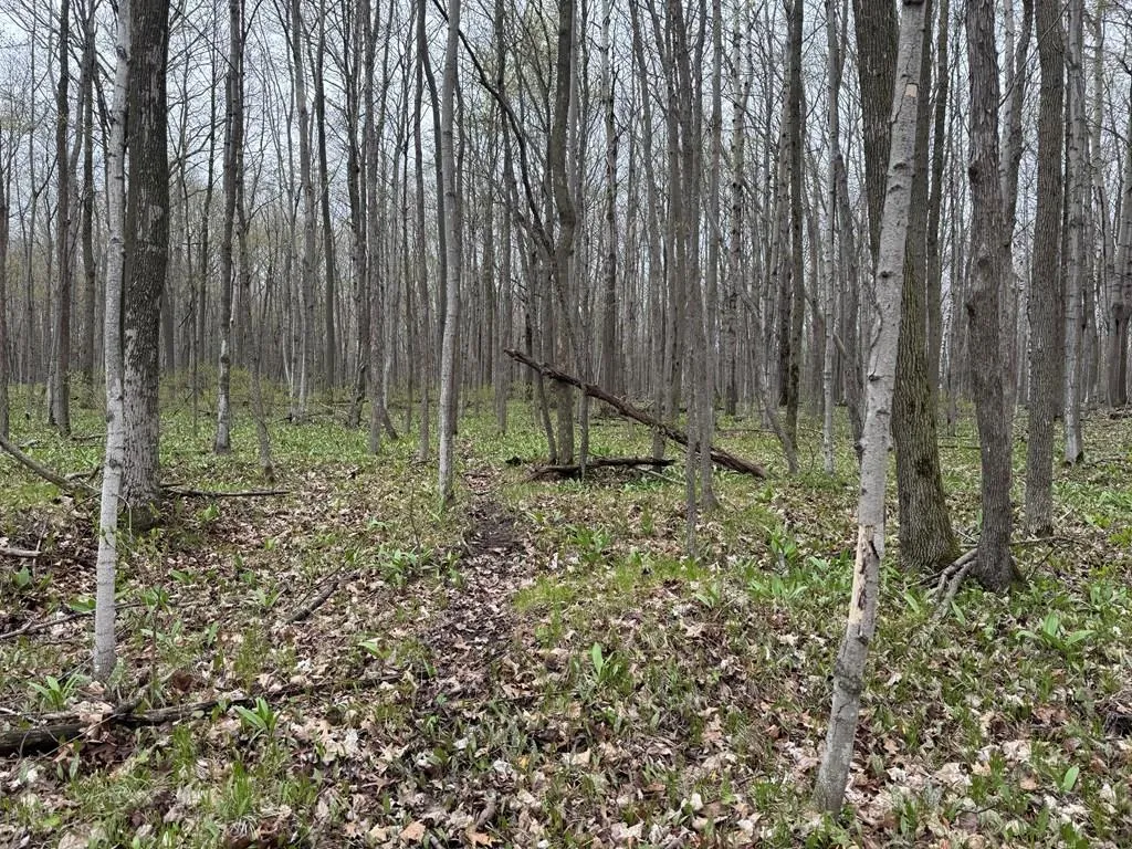 Memorial Dr, Egg Harbor Wi 54209, ,Unimproved Land,For Sale,Memorial Dr,141590