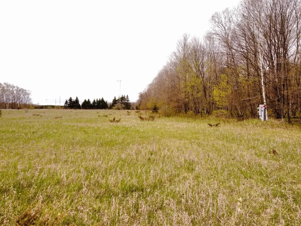 Memorial Dr, Egg Harbor Wi 54209, ,Unimproved Land,For Sale,Memorial Dr,141590