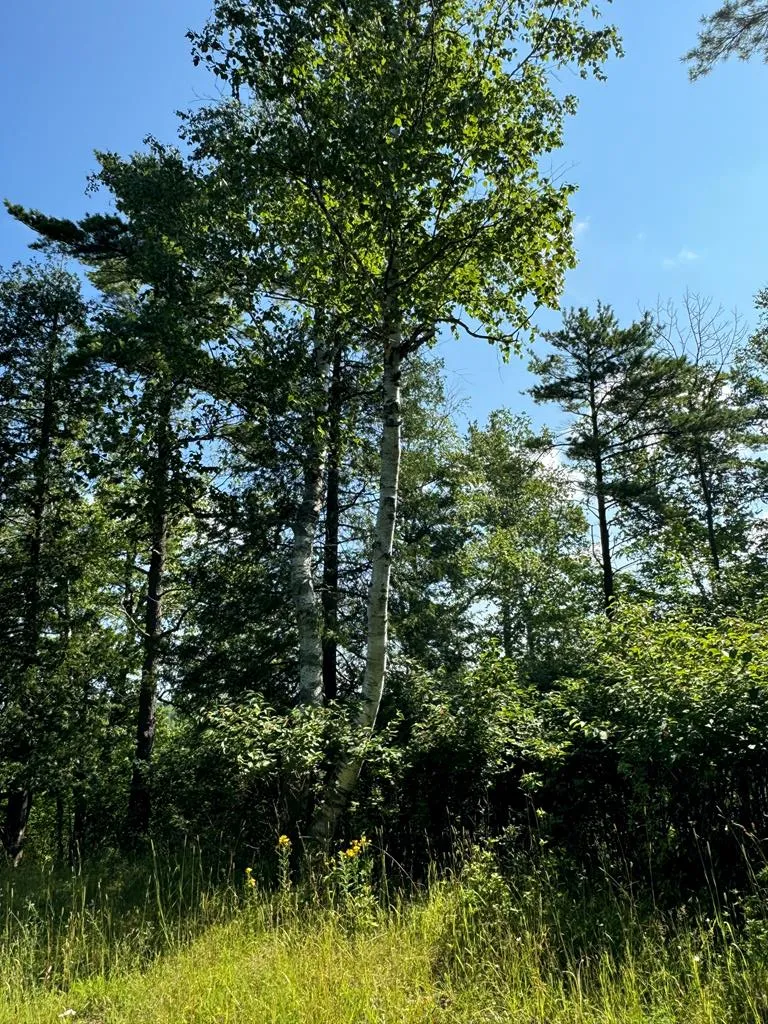 #15 Choke Cherry Ln, Fish Creek Wi 54212, ,Condominium,For Sale,Eagle Ledge Ln,142948