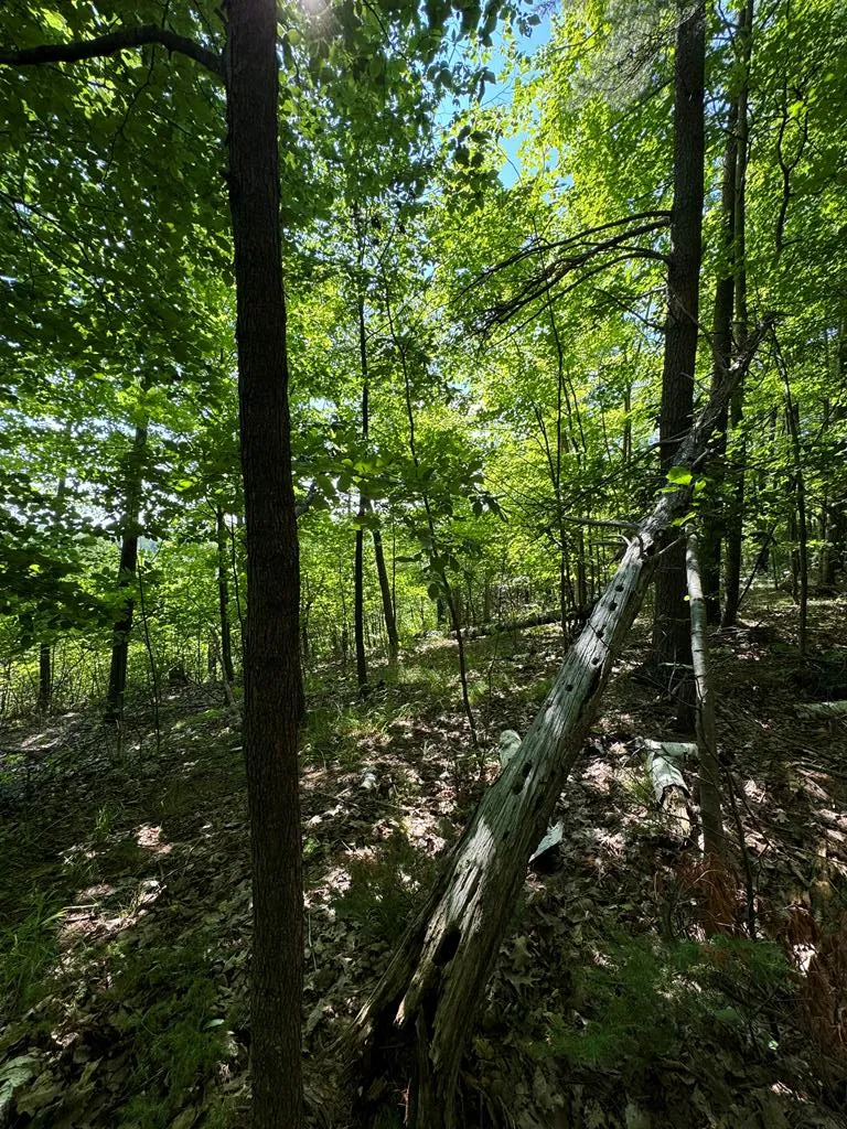 #15 Choke Cherry Ln, Fish Creek Wi 54212, ,Condominium,For Sale,Eagle Ledge Ln,142948