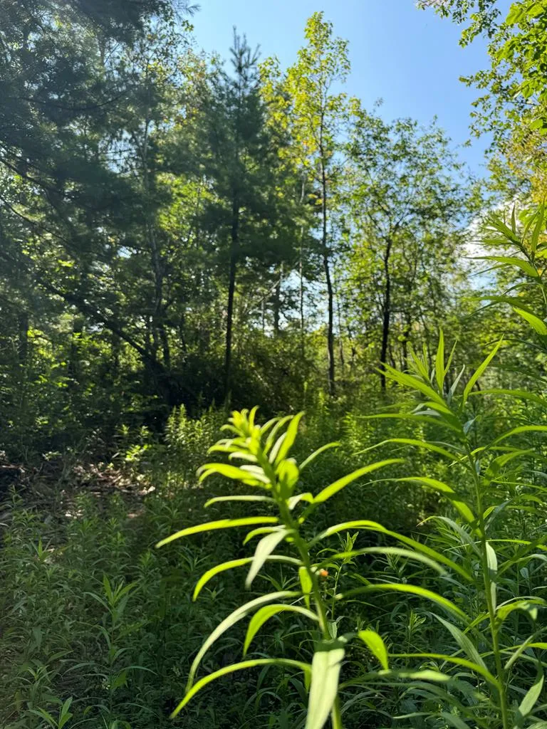 #15 Choke Cherry Ln, Fish Creek Wi 54212, ,Condominium,For Sale,Eagle Ledge Ln,142948