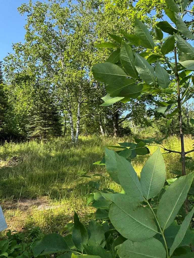 #15 Choke Cherry Ln, Fish Creek Wi 54212, ,Condominium,For Sale,Eagle Ledge Ln,142948