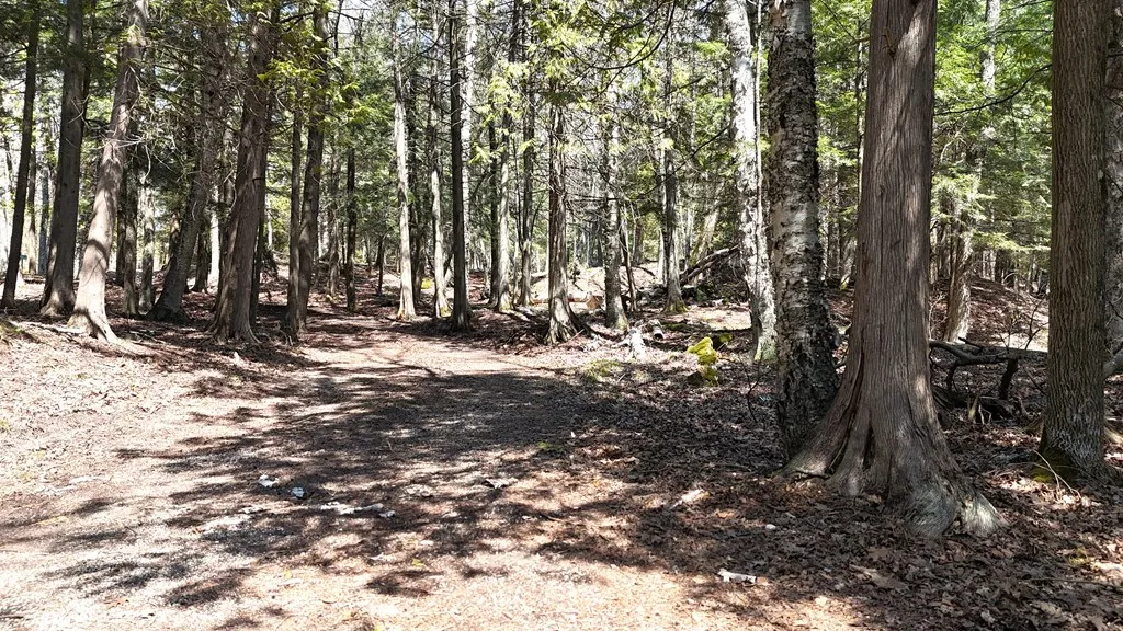 2988 German Rd, Ephraim, Wisconsin 54211, 1 Bedroom Bedrooms, ,1 BathroomBathrooms,Inland-Residential,For Sale,German Rd,143906