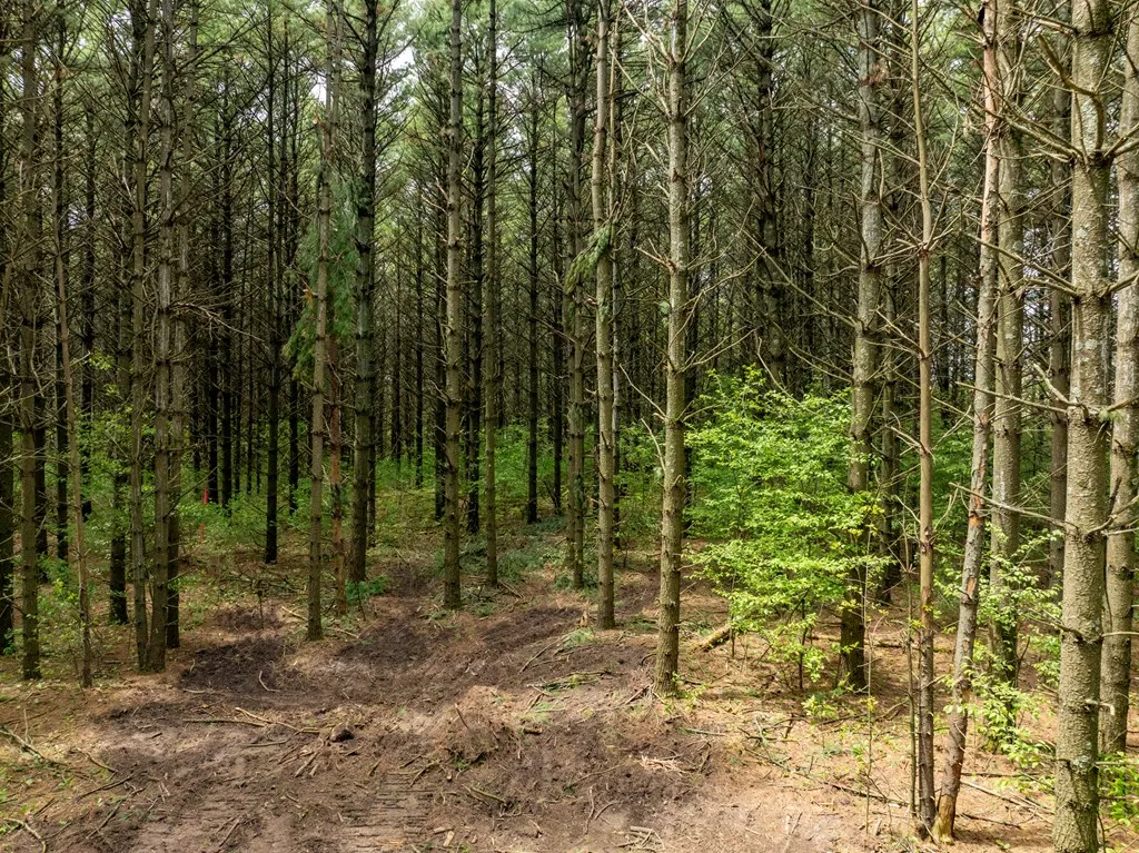Lot 2 Bay Shore Heights Dr, Sturgeon Bay, Wisconsin 54235, ,Unimproved Land,For Sale,Bay Shore Heights Dr,144005