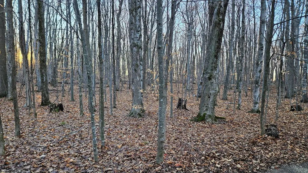 Lot #28 Daisy Patch Rd, Fish Creek Wi 54212, ,Unimproved Land,For Sale,Daisy Patch Rd,141276