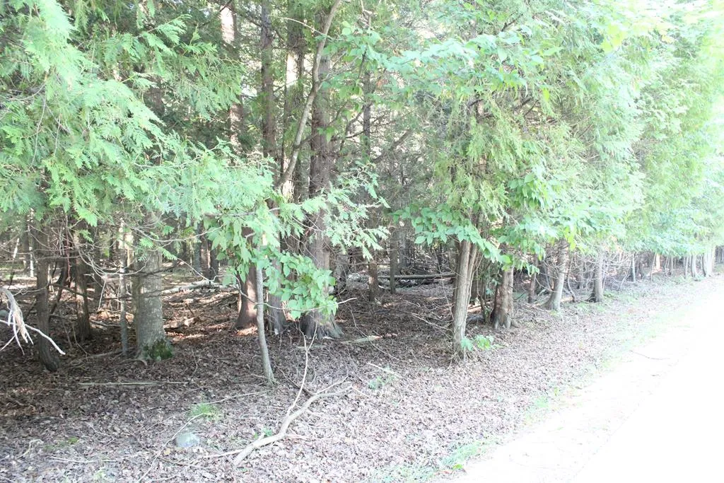 Lot 2 Gibraltar Rd, Fish Creek, Wisconsin 54212, ,Unimproved Land,For Sale,Gibraltar Rd,144446