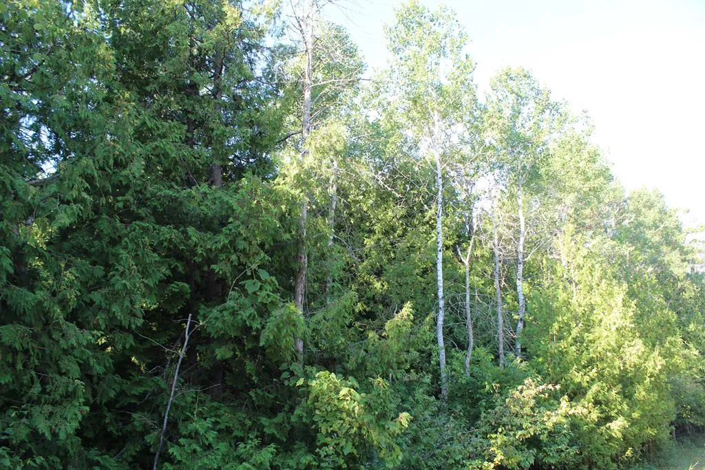 Lot 2 Gibraltar Rd, Fish Creek, Wisconsin 54212, ,Unimproved Land,For Sale,Gibraltar Rd,144446