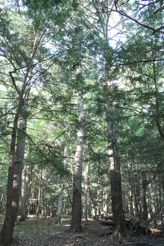 Lot 2 Gibraltar Rd, Fish Creek, Wisconsin 54212, ,Unimproved Land,For Sale,Gibraltar Rd,144446