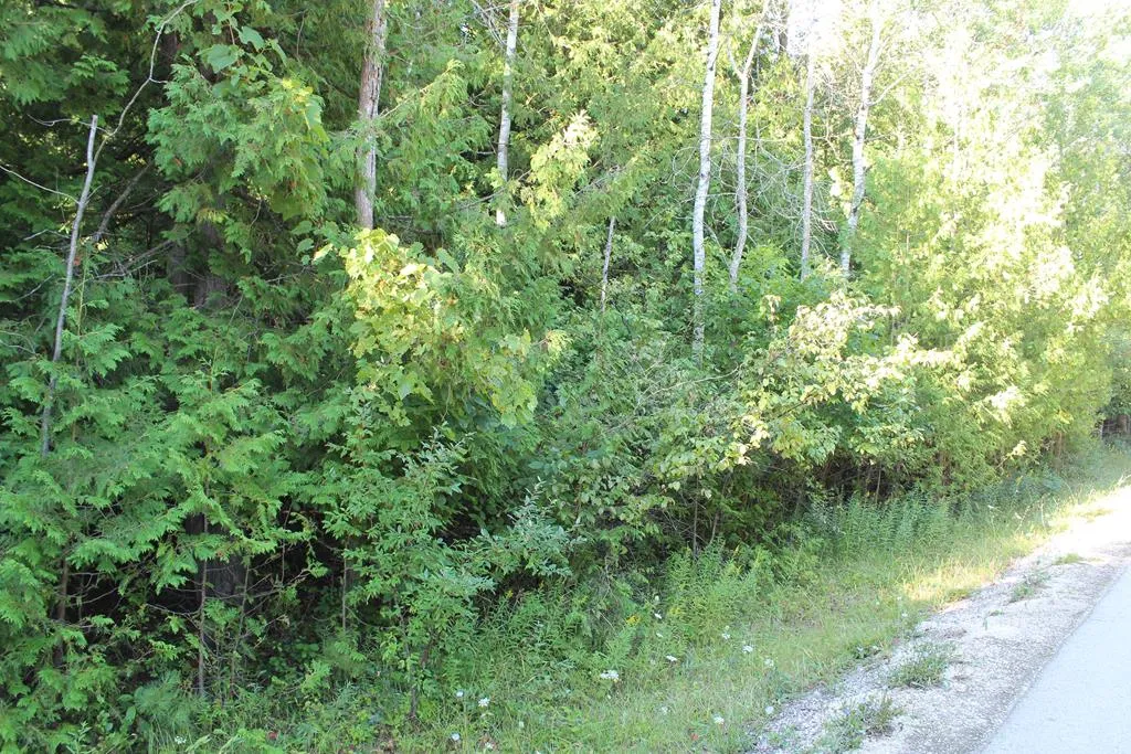 Lot 2 Gibraltar Rd, Fish Creek, Wisconsin 54212, ,Unimproved Land,For Sale,Gibraltar Rd,144446