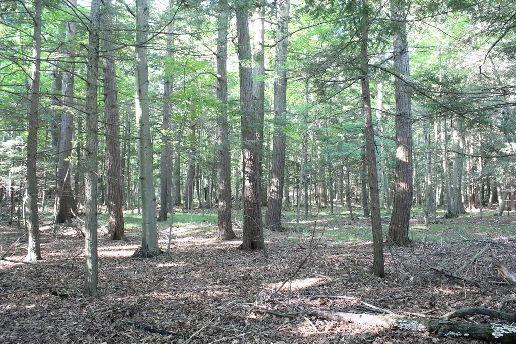 Lot 2 Gibraltar Rd, Fish Creek, Wisconsin 54212, ,Unimproved Land,For Sale,Gibraltar Rd,144446