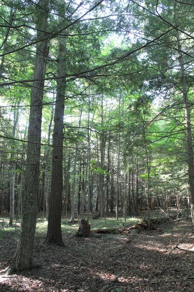Lot 2 Gibraltar Rd, Fish Creek, Wisconsin 54212, ,Unimproved Land,For Sale,Gibraltar Rd,144446