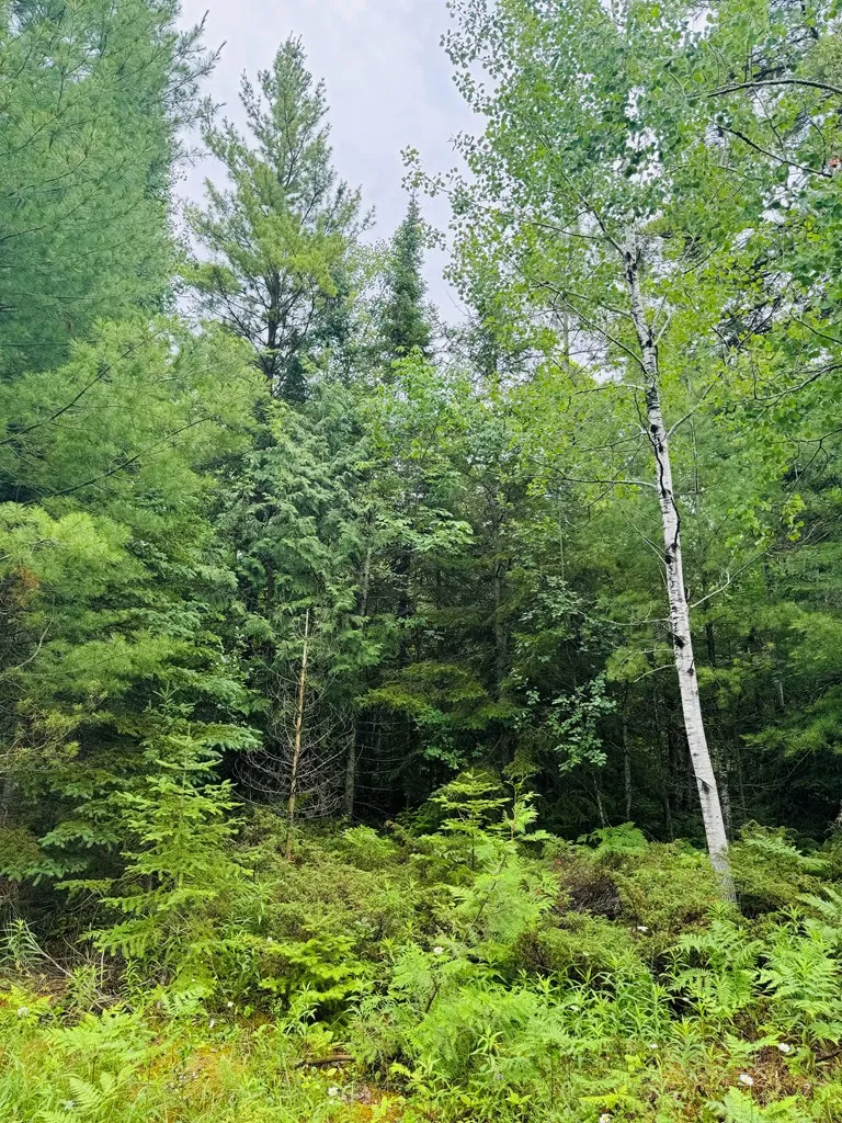 Tbd County Rd Q, Baileys Harbor Wi 54202, ,Unimproved Land,For Sale,County Rd Q,141891