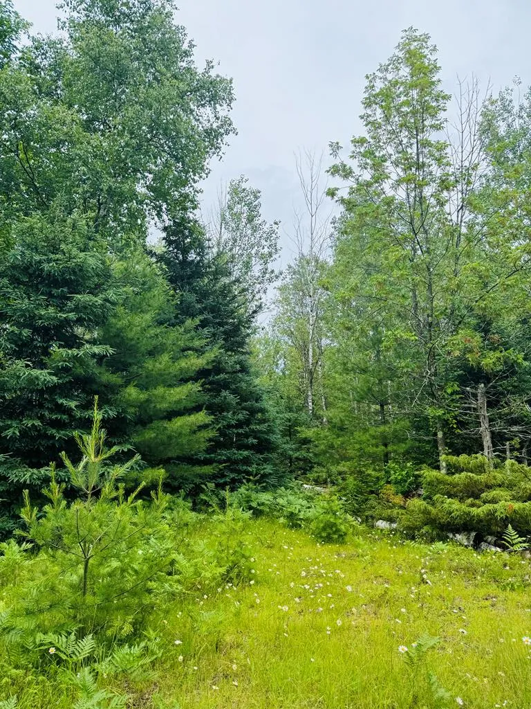 Tbd County Rd Q, Baileys Harbor Wi 54202, ,Unimproved Land,For Sale,County Rd Q,141891