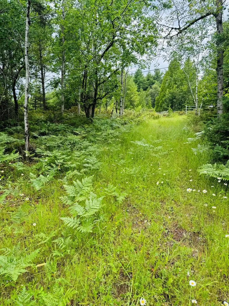 Tbd County Rd Q, Baileys Harbor Wi 54202, ,Unimproved Land,For Sale,County Rd Q,141891
