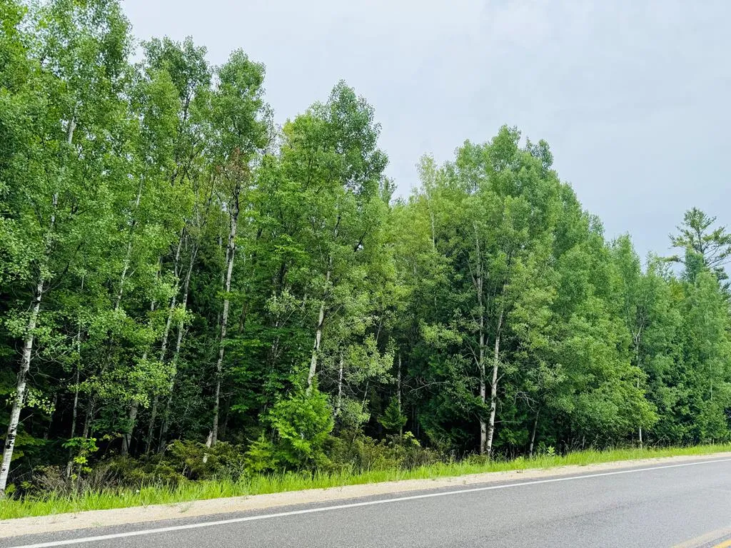 Tbd County Rd Q, Baileys Harbor Wi 54202, ,Unimproved Land,For Sale,County Rd Q,141891