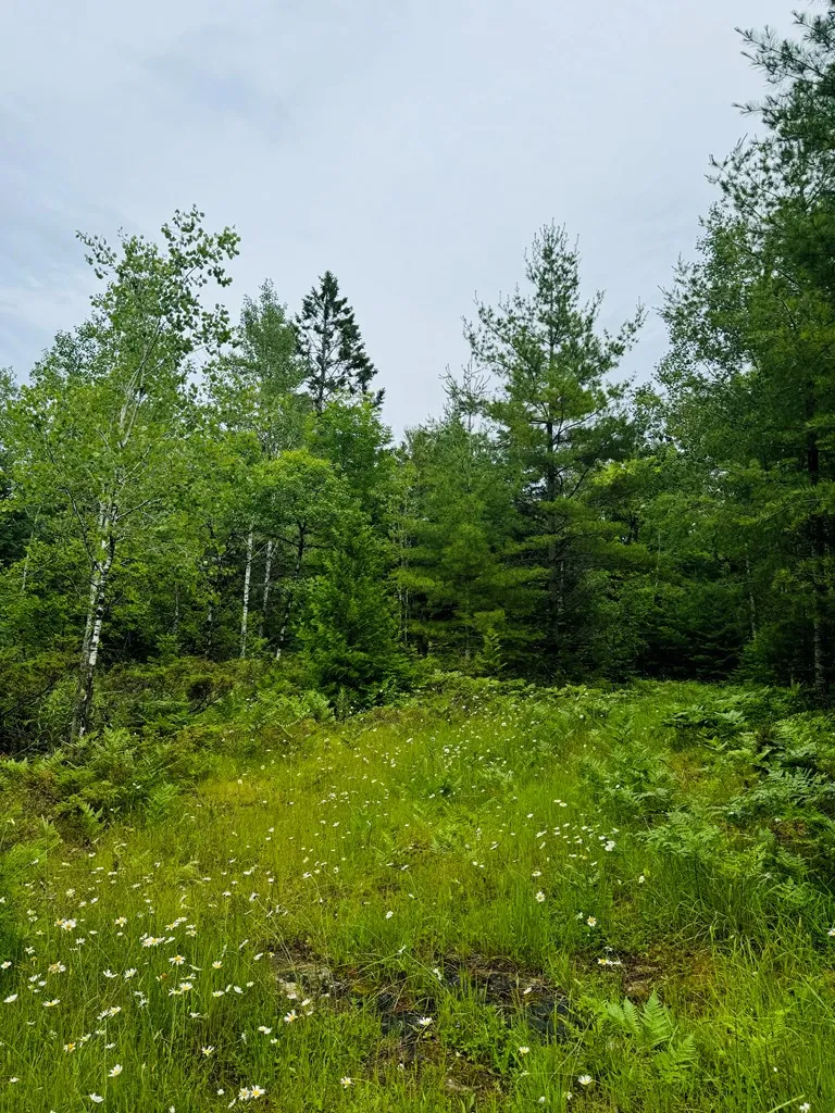 Tbd County Rd Q, Baileys Harbor Wi 54202, ,Unimproved Land,For Sale,County Rd Q,141891