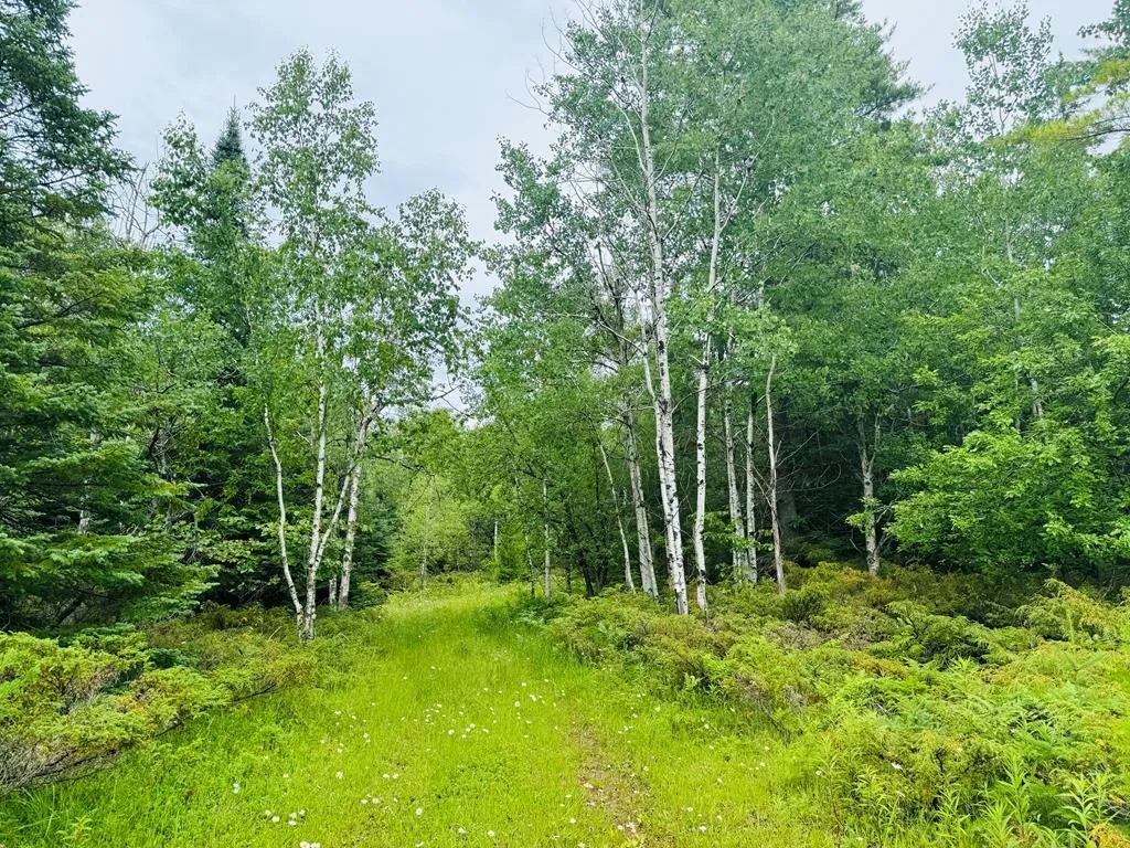 Tbd County Rd Q, Baileys Harbor Wi 54202, ,Unimproved Land,For Sale,County Rd Q,141891