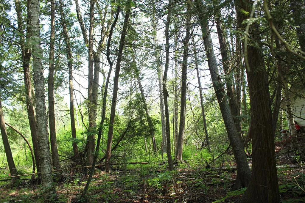 Tbd Larson Ln, Ephraim, Wisconsin 54211, ,Unimproved Land,For Sale,Larson Ln,144141