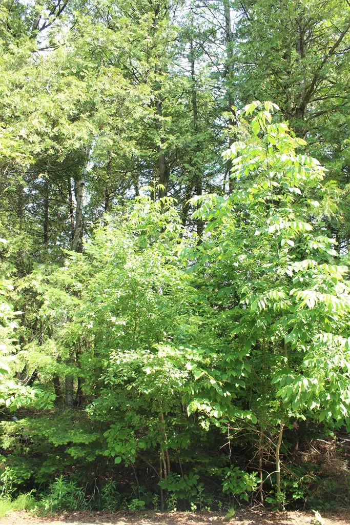 Tbd Larson Ln, Ephraim, Wisconsin 54211, ,Unimproved Land,For Sale,Larson Ln,144141