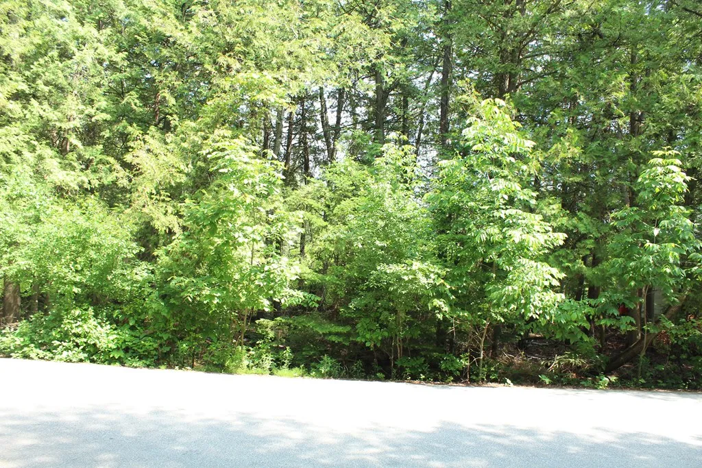 Tbd Larson Ln, Ephraim, Wisconsin 54211, ,Unimproved Land,For Sale,Larson Ln,144141