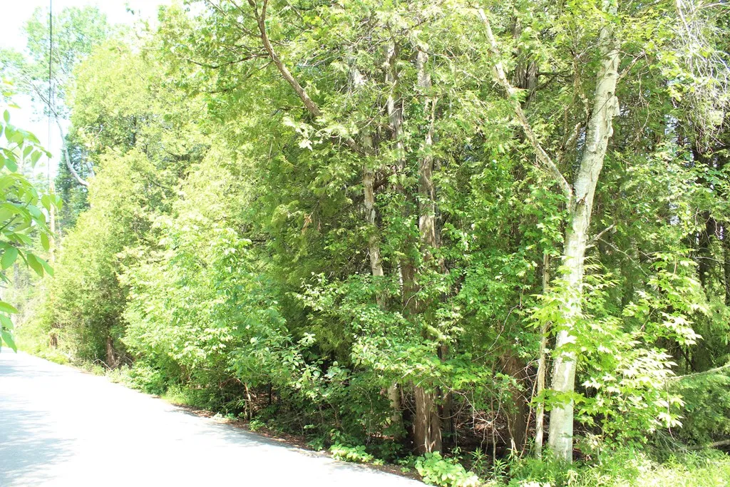 Tbd Larson Ln, Ephraim, Wisconsin 54211, ,Unimproved Land,For Sale,Larson Ln,144141