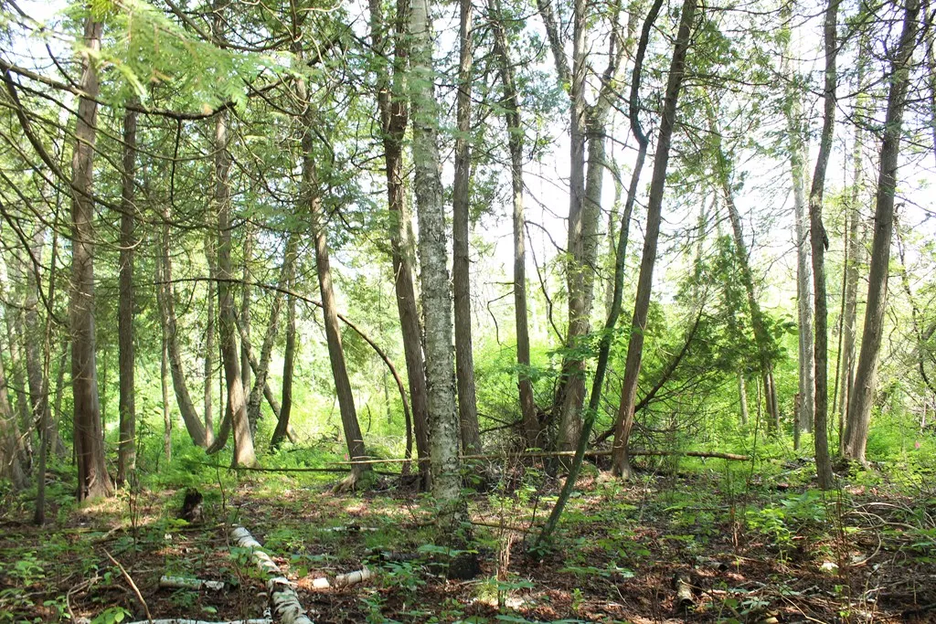 Tbd Larson Ln, Ephraim, Wisconsin 54211, ,Unimproved Land,For Sale,Larson Ln,144141