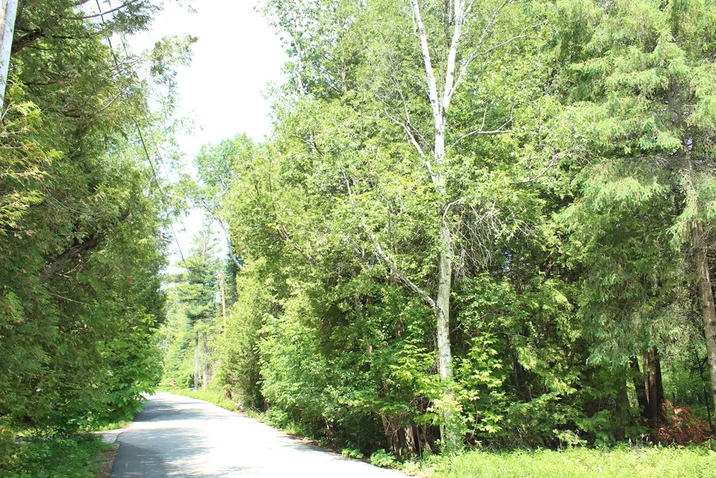 Tbd Larson Ln, Ephraim, Wisconsin 54211, ,Unimproved Land,For Sale,Larson Ln,144141