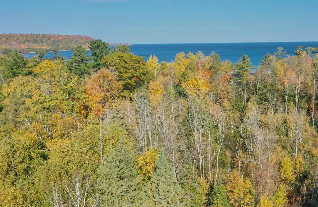 Tbd Larson Ln, Ephraim, Wisconsin 54211, ,Unimproved Land,For Sale,Larson Ln,144141