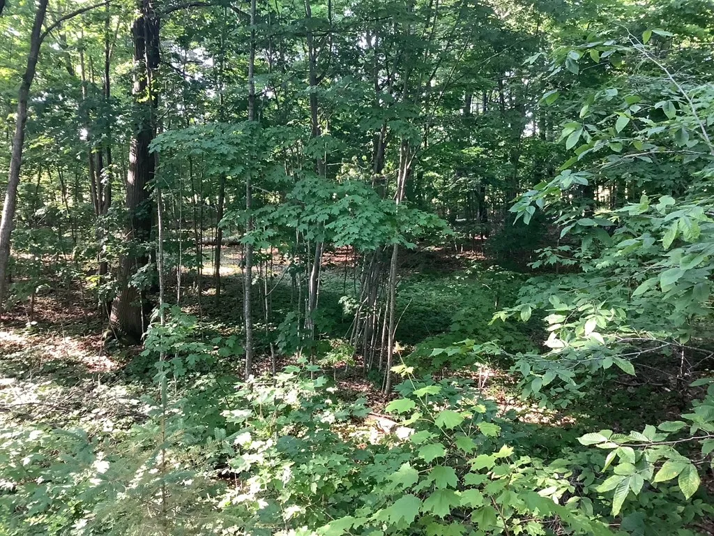 1862 Detroit Harbor Rd, Washington Island, Wisconsin 54246, 2 Bedrooms Bedrooms, ,1 BathroomBathrooms,Inland-Residential,For Sale,Detroit Harbor Rd,144216