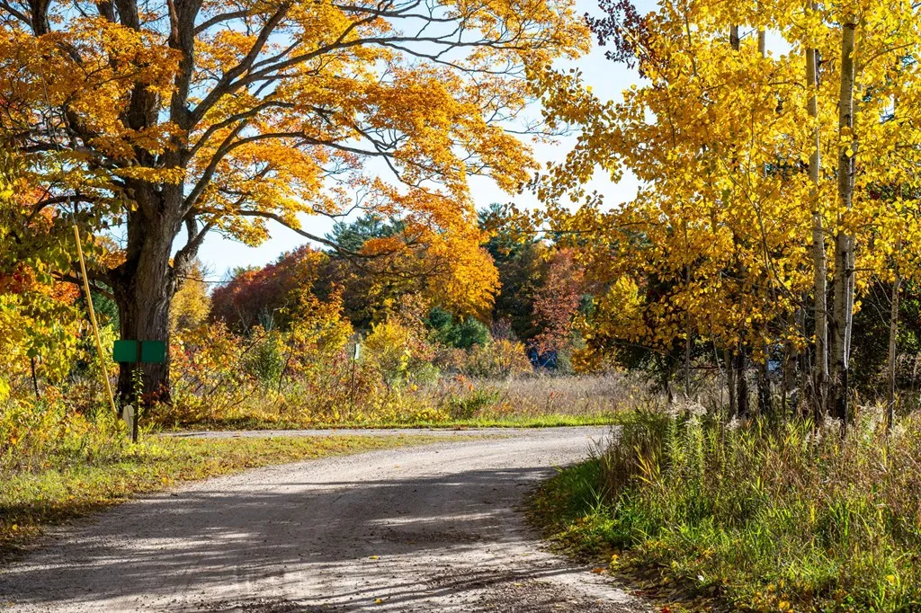 1500 Apple Tree Ln, Ellison Bay Wi 54210, ,Unimproved Land,For Sale,Apple Tree Ln,141165