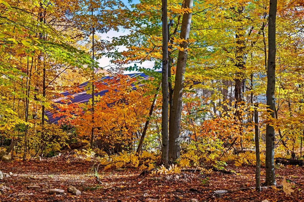 1500 Apple Tree Ln, Ellison Bay Wi 54210, ,Unimproved Land,For Sale,Apple Tree Ln,141165