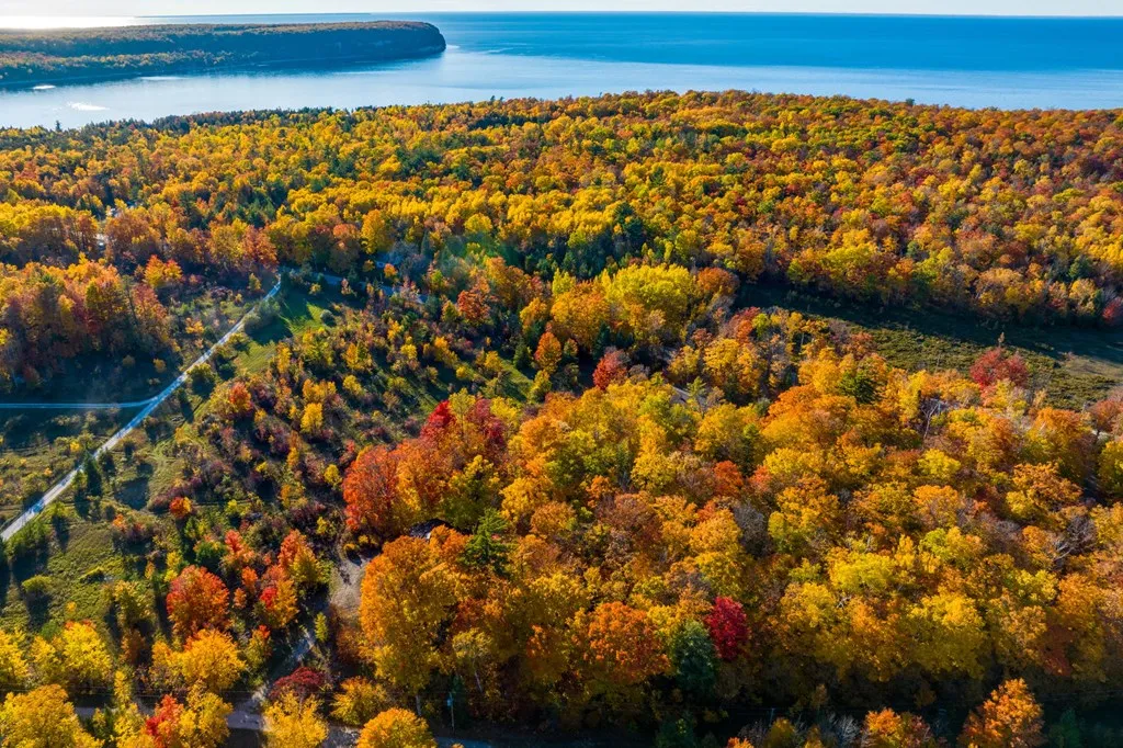 1500 Apple Tree Ln, Ellison Bay Wi 54210, ,Unimproved Land,For Sale,Apple Tree Ln,141165