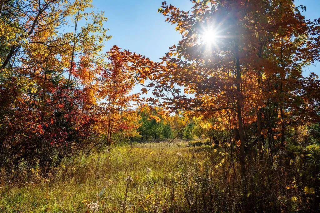 1500 Apple Tree Ln, Ellison Bay Wi 54210, ,Unimproved Land,For Sale,Apple Tree Ln,141165