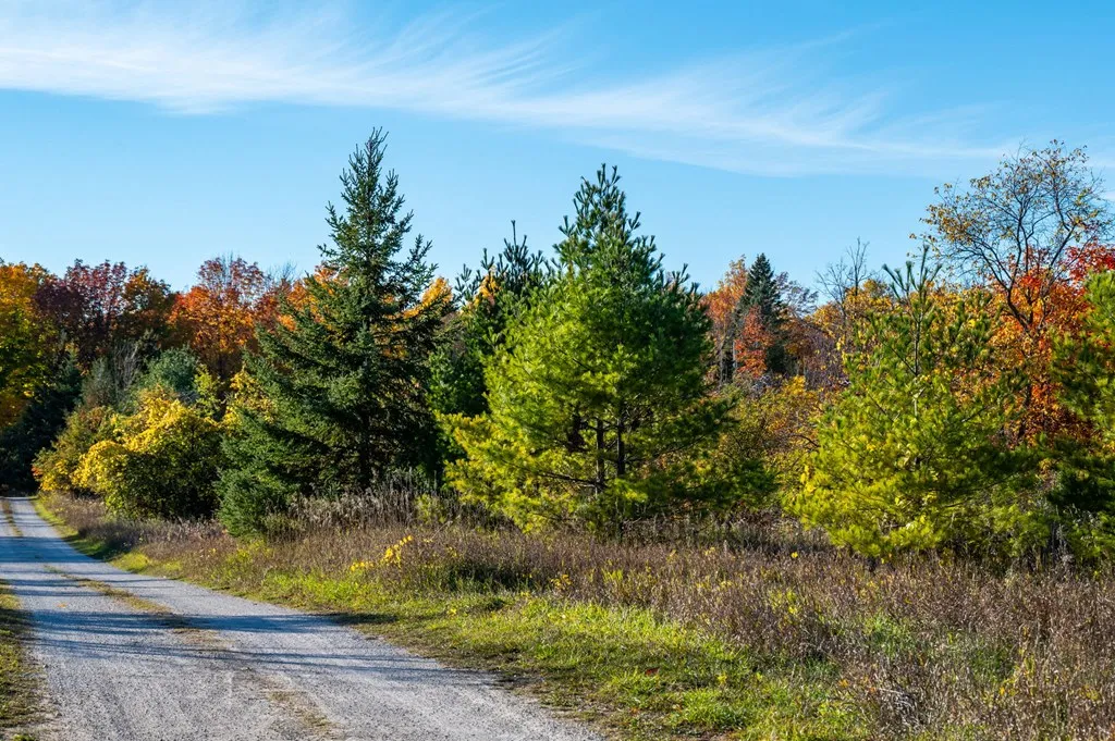 1500 Apple Tree Ln, Ellison Bay Wi 54210, ,Unimproved Land,For Sale,Apple Tree Ln,141165