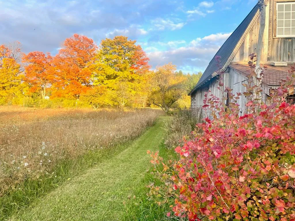 Ellison Bay, Wisconsin 54234, 3 Bedrooms Bedrooms, ,2 BathroomsBathrooms,Inland-Residential,For Sale,Badger Rd,143939
