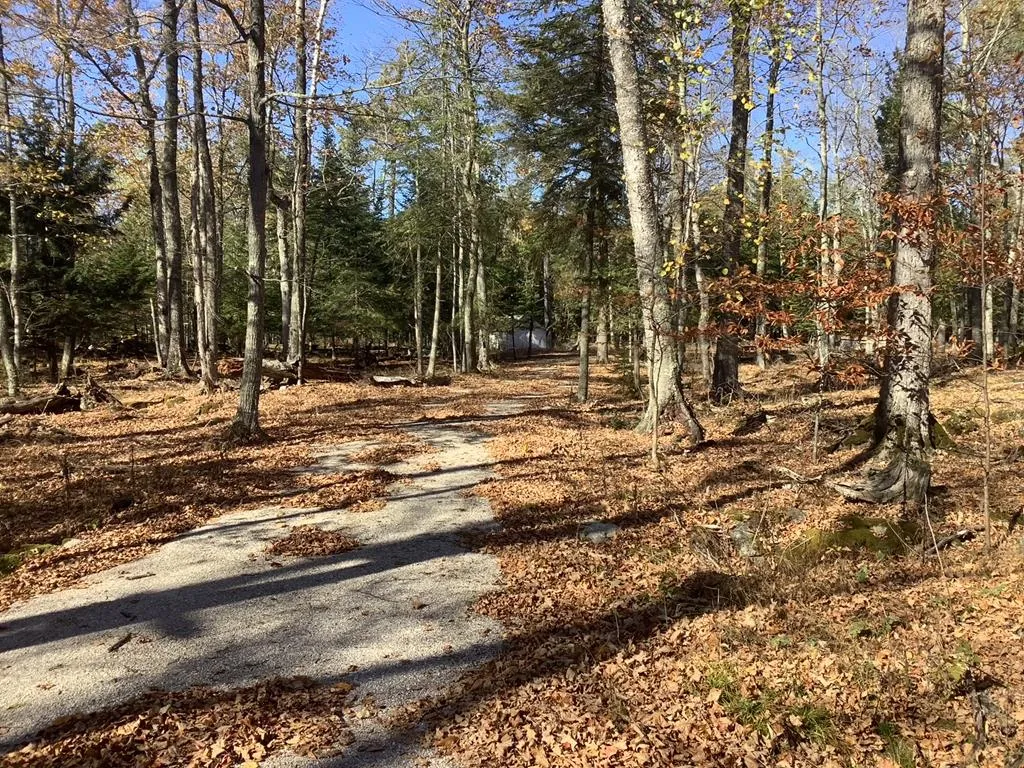 Hemlock Dr, Washington Island Wi 54246, ,Unimproved Land,For Sale,Hemlock Dr,143360