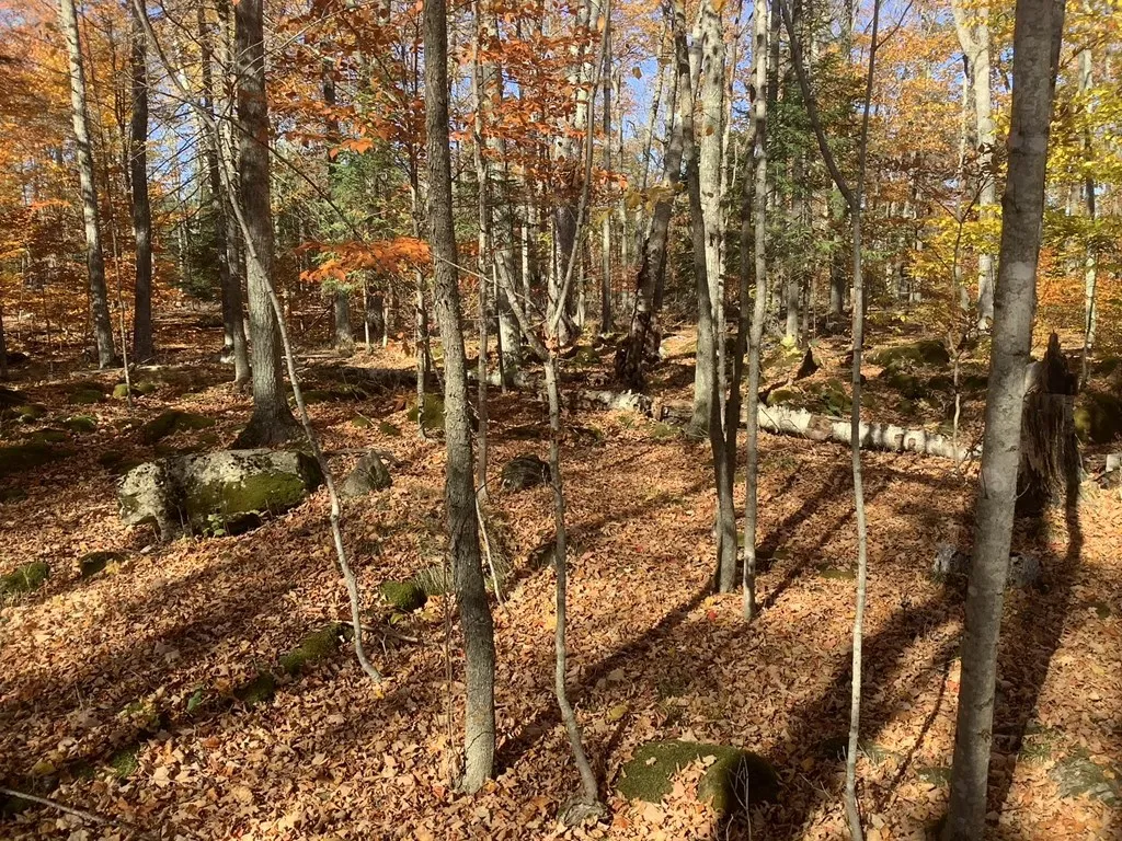 Hemlock Dr, Washington Island Wi 54246, ,Unimproved Land,For Sale,Hemlock Dr,143360
