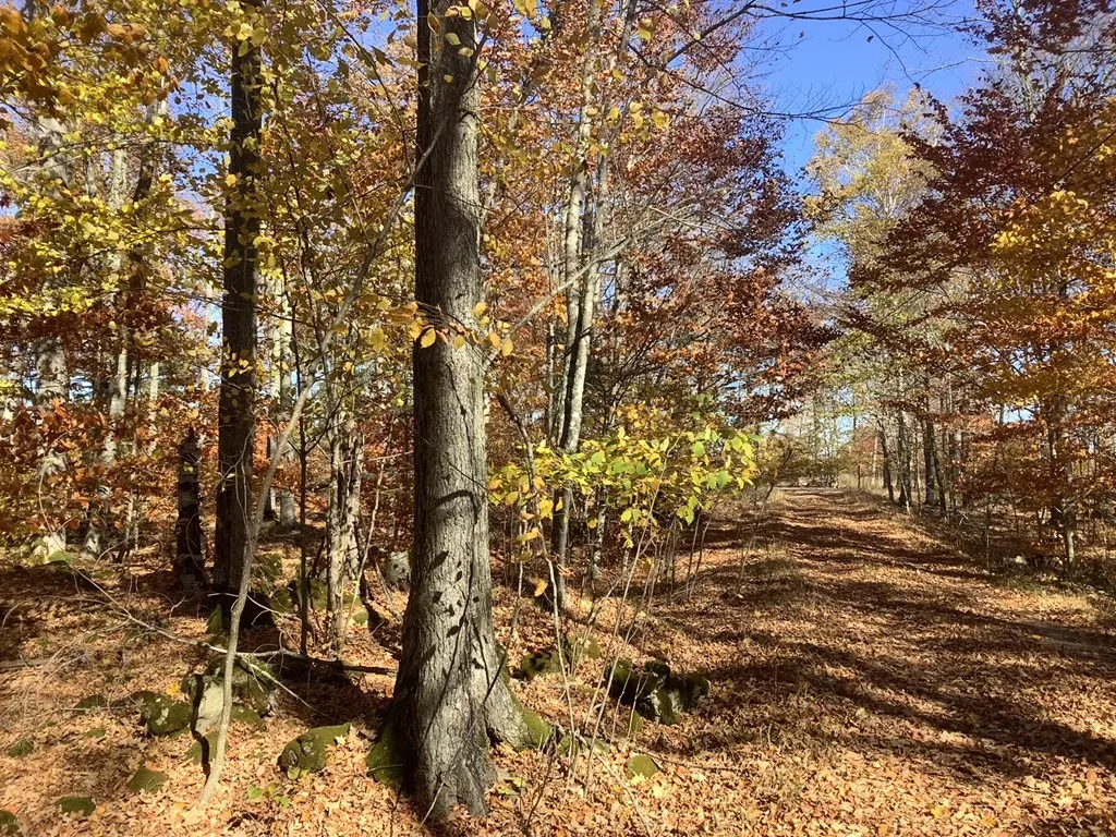 Hemlock Dr, Washington Island Wi 54246, ,Unimproved Land,For Sale,Hemlock Dr,143360