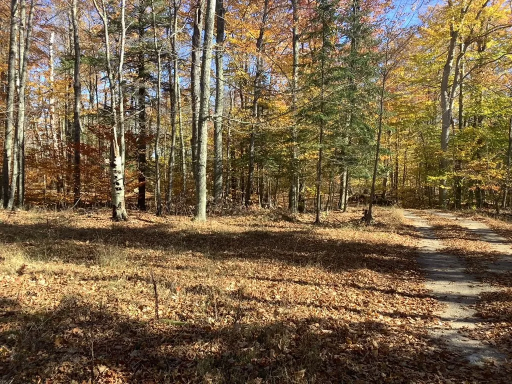 Hemlock Dr, Washington Island Wi 54246, ,Unimproved Land,For Sale,Hemlock Dr,143360
