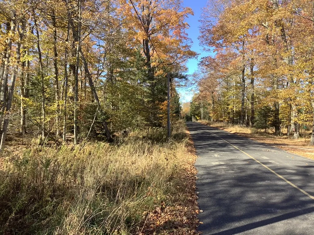 Hemlock Dr, Washington Island Wi 54246, ,Unimproved Land,For Sale,Hemlock Dr,143360