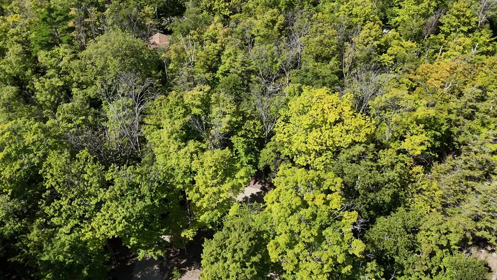 Lot 3 Northport Woods Ln, Gills Rock, Wisconsin 54210, ,Unimproved Land,For Sale,Northport Woods Ln,144542