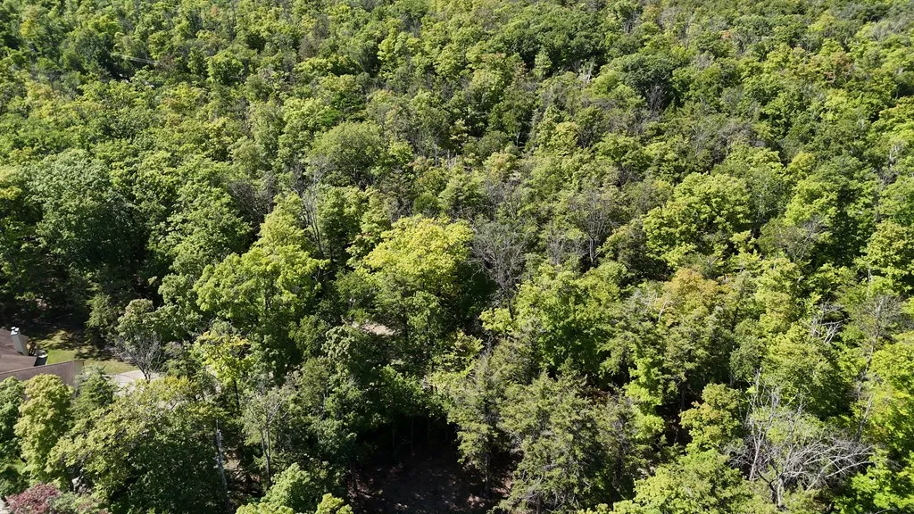 Lot 3 Northport Woods Ln, Gills Rock, Wisconsin 54210, ,Unimproved Land,For Sale,Northport Woods Ln,144542
