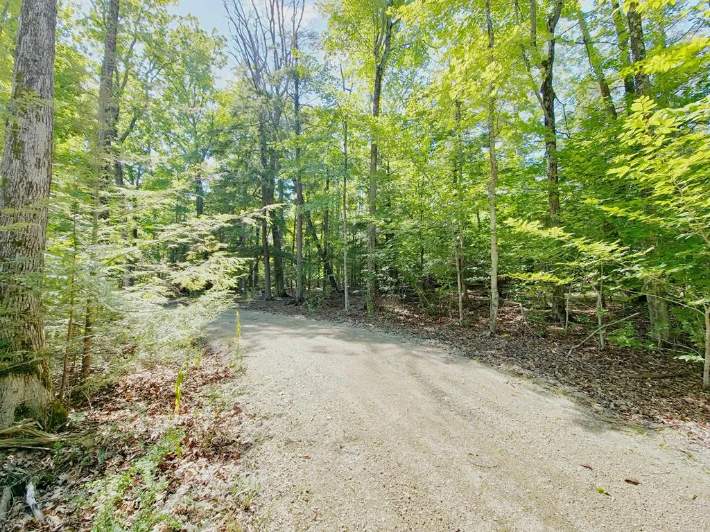 Lot 3 Northport Woods Ln, Gills Rock, Wisconsin 54210, ,Unimproved Land,For Sale,Northport Woods Ln,144542