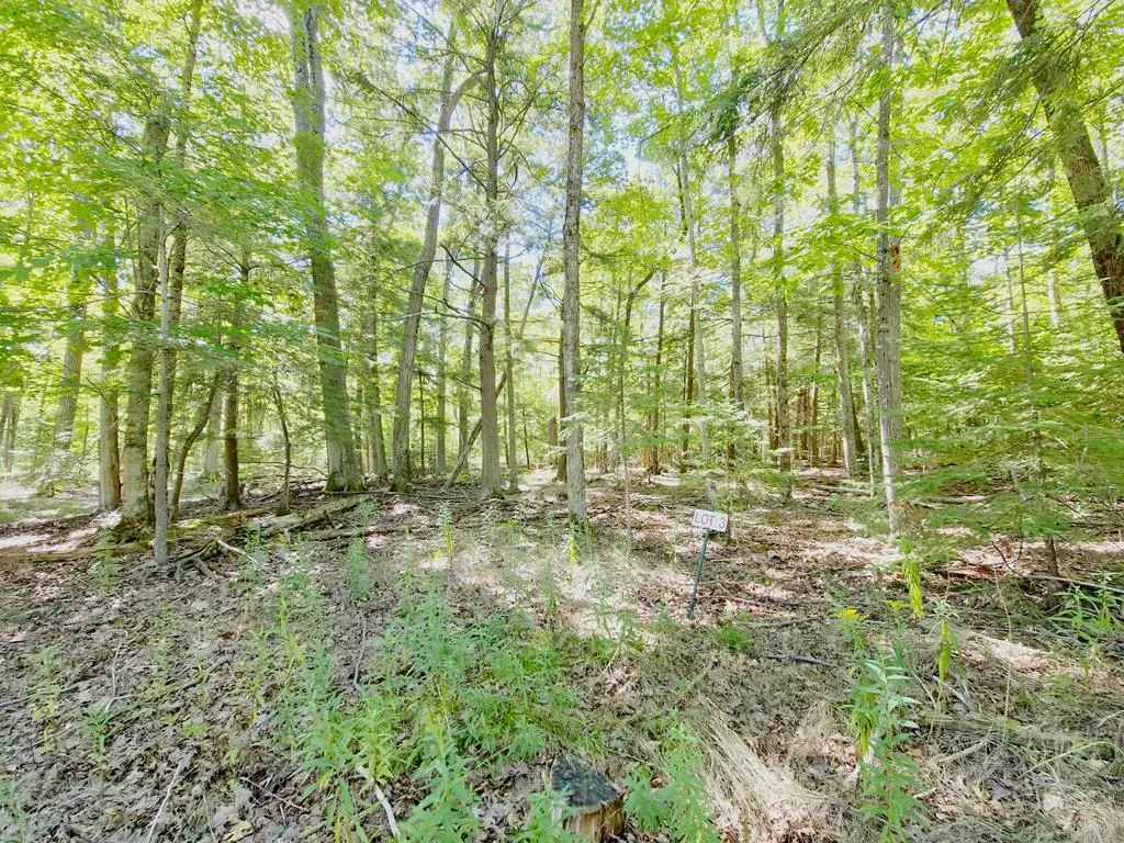 Lot 3 Northport Woods Ln, Gills Rock, Wisconsin 54210, ,Unimproved Land,For Sale,Northport Woods Ln,144542