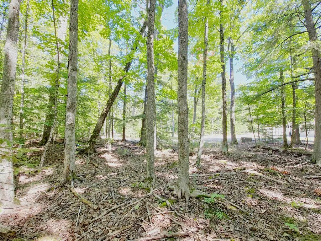 Lot 3 Northport Woods Ln, Gills Rock, Wisconsin 54210, ,Unimproved Land,For Sale,Northport Woods Ln,144542