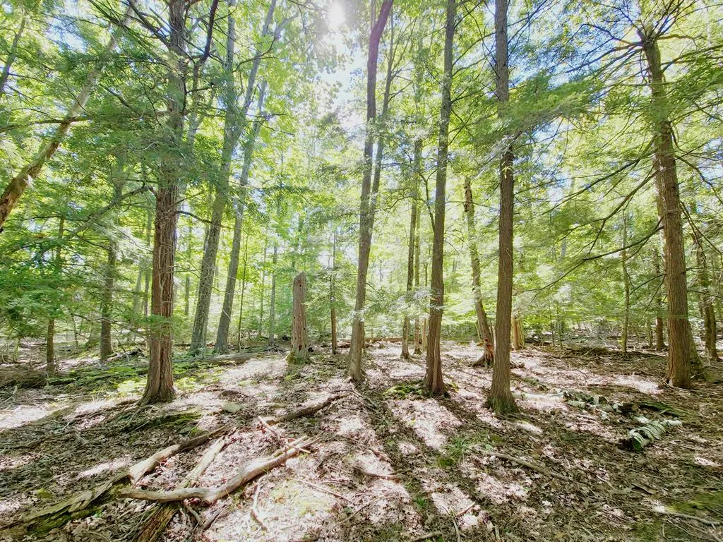 Lot 3 Northport Woods Ln, Gills Rock, Wisconsin 54210, ,Unimproved Land,For Sale,Northport Woods Ln,144542