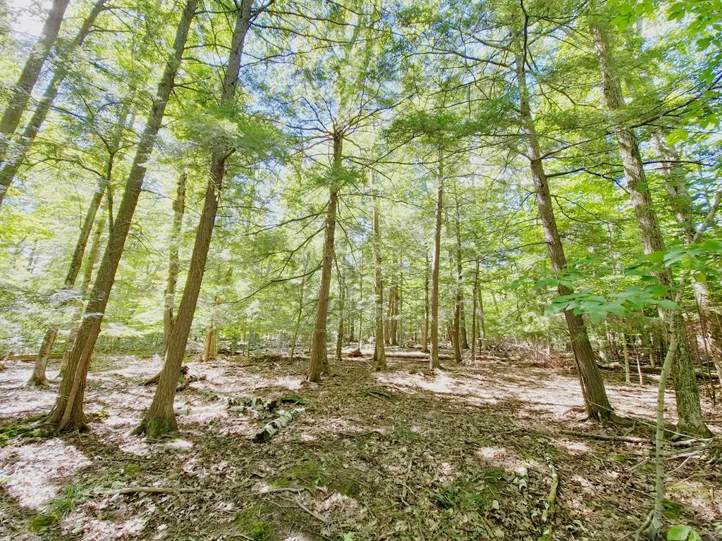 Lot 3 Northport Woods Ln, Gills Rock, Wisconsin 54210, ,Unimproved Land,For Sale,Northport Woods Ln,144542