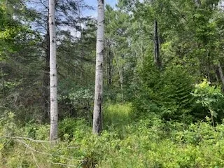 Lot 3 Idlewild Woods Dr, Sturgeon Bay, Wisconsin 54235, ,Unimproved Land,For Sale,Idlewild Woods Dr,144272