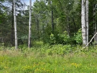 Lot 3 Idlewild Woods Dr, Sturgeon Bay, Wisconsin 54235, ,Unimproved Land,For Sale,Idlewild Woods Dr,144272