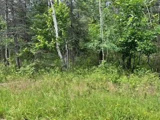 Lot 3 Idlewild Woods Dr, Sturgeon Bay, Wisconsin 54235, ,Unimproved Land,For Sale,Idlewild Woods Dr,144272